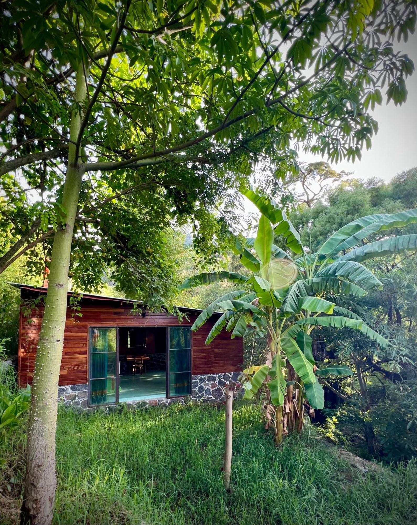 Santuario Ave Fenix-Cabanas Tepoztlán Exterior foto